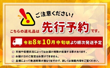 【先行受付】信州松本産　シナノスイート　５～６玉約２kg 通常品
