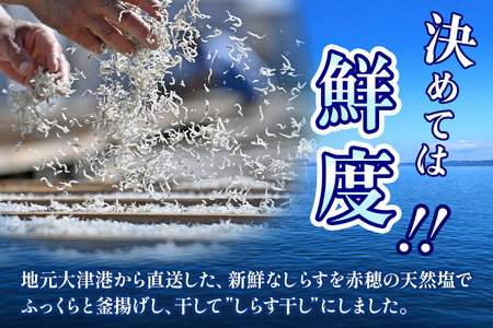 大津港水揚げのしらす干し 1kg[500g×2箱]（茨城県共通返礼品・北茨城市産） A78-009