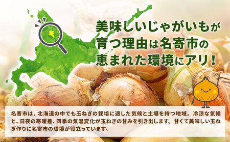 北海道名寄産 玉ねぎ 10kg 秀品 たまねぎ　Mサイズ