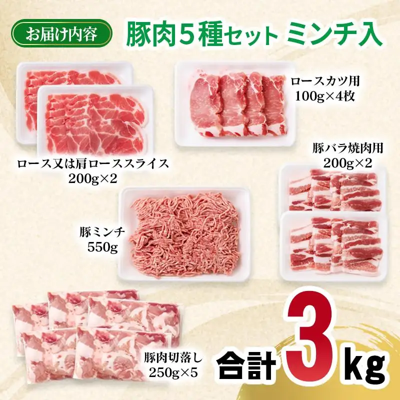 宮崎県産豚肉 5種 合計3kgセット スライス とんかつ 焼肉 切り落とし ミンチ 小分け 11パック＜70-22a＞