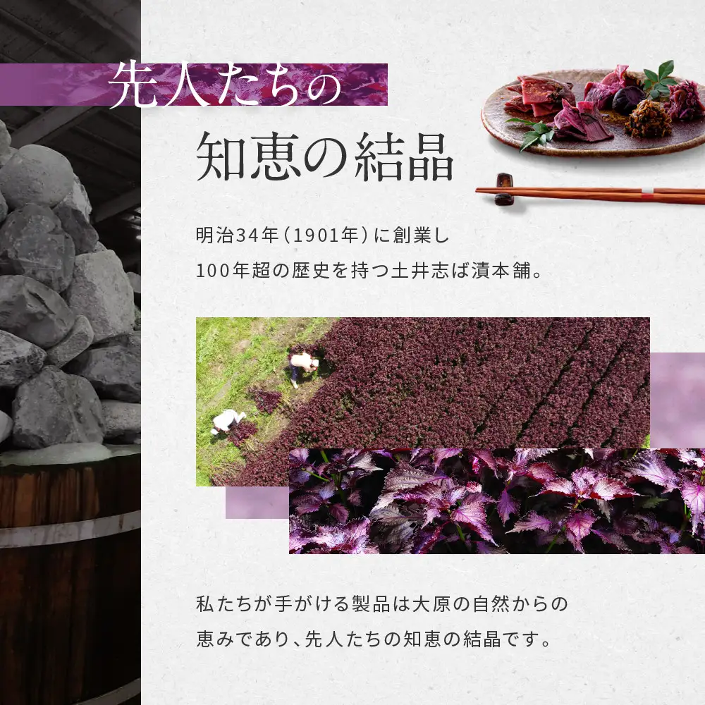 【土井志ば漬本舗】大原の里京漬物8種8点詰め合わせ W-20｜京都 漬物 有名店 人気セット