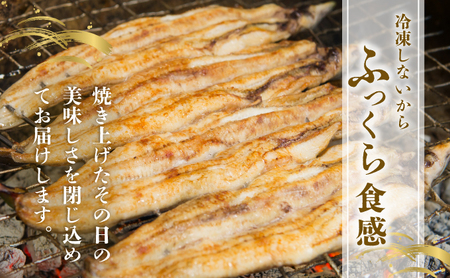 ＜2026年6月配送＞うなぎ白焼き 400g (200g×2尾) 