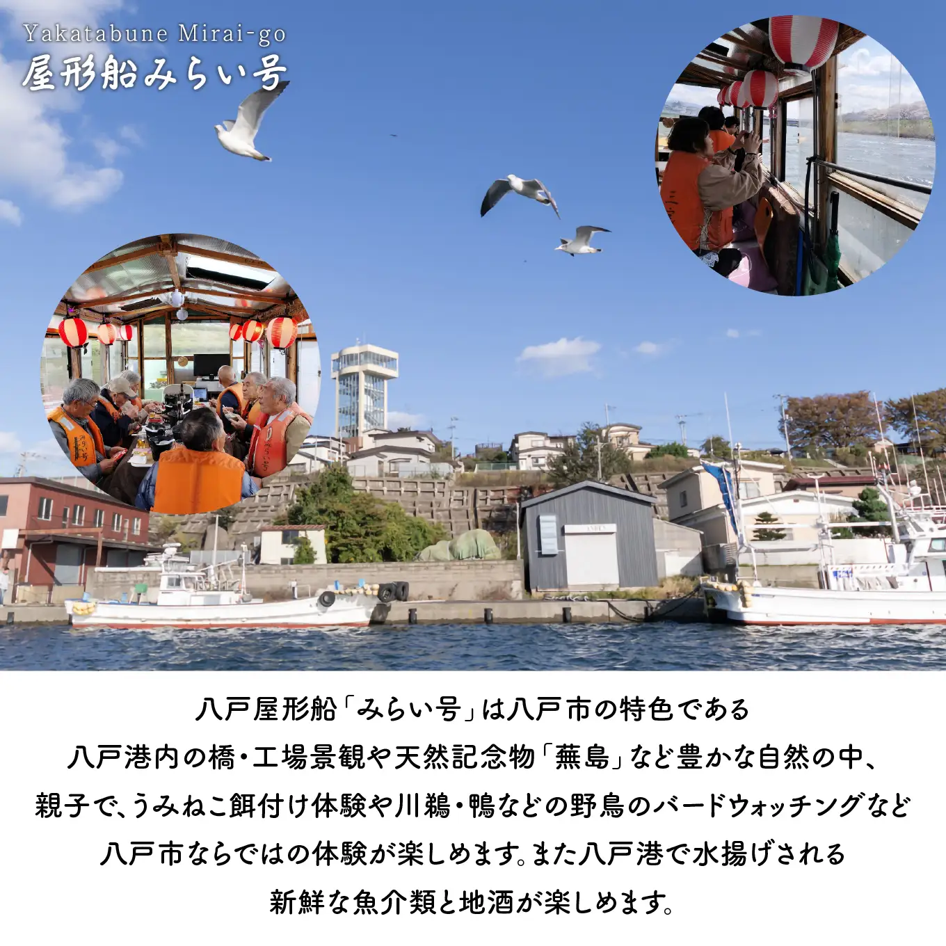 みなとオアシス八戸 ＜青森県で唯一の屋形船＞ 酒蔵利き酒と八戸港内ランチ・クルーズ 【お料理：八戸の人気お土産品、昼】 チケット ４名分 新鮮魚介類 うみねこ餌付け体験 バードウォッチング 青森県 八戸市