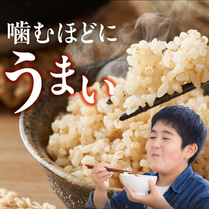 【定期便2回】【令和8年産 新米】福岡県産ブランド米元気つくし 玄米 20kg×2回 _  元気つくし 20kg お届け回数 2回 定期便 福岡県産 ブランド米 新米 福岡生まれ 品種 香り豊か ふっくら 食感 ご飯 おにぎり 弁当 お米 食品 お取り寄せ 九州 久留米市産 福岡県 久留米市 送料無料  〔Tk117-02〕