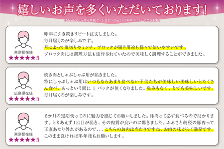 ワイントン ６ヶ月定期便セット 合計5.2kg D-230【豚肉 定期便 焼き肉用 しゃぶしゃぶ用 こま切れ肉 挽肉 ブロック肉 スライス肉】