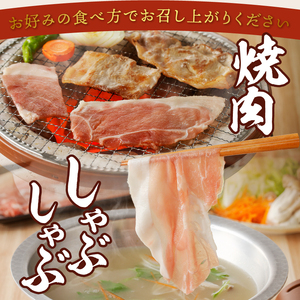 ワイントン 12ヶ月定期便セット 合計10.4kg H-201【豚肉 定期便 焼き肉用 しゃぶしゃぶ用 こま切れ肉 挽肉 ブロック肉 スライス肉】