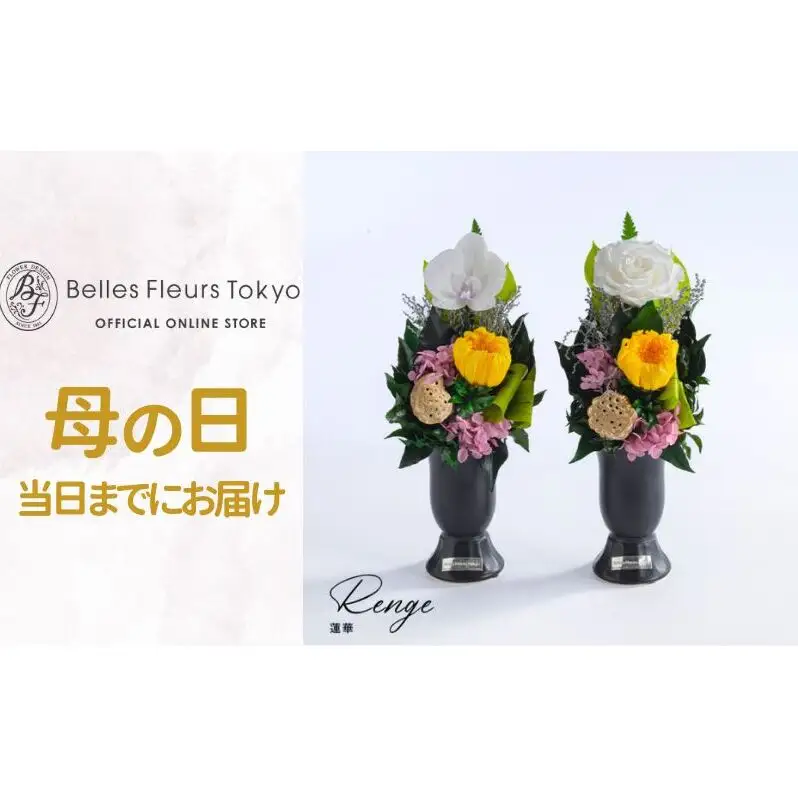 花 プリザーブドフラワー 蓮華 (れんげ) ギフト プレゼント お祝い 誕生日 お供え アレンジ インテリア 東京都 墨田区 輪菊/単品