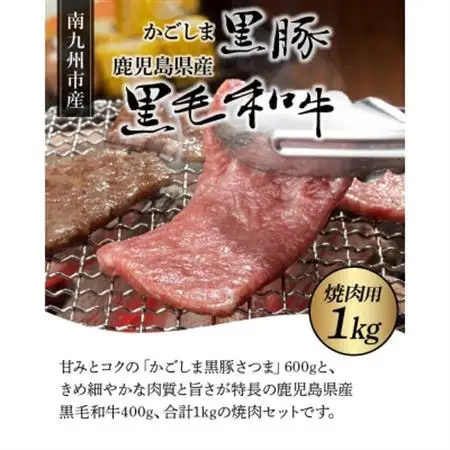 かごしま黒豚と鹿児島県産黒毛和牛焼肉用1kg【配送不可地域：離島】【1185882】