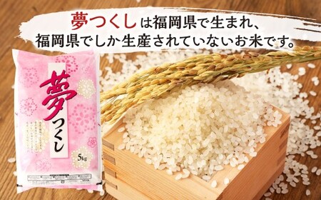 【令和7年産】 精米 食味鑑定士厳選 夢つくし 20kg（5kg×4袋） 米 こめ コメ お米 単一原料米