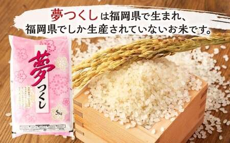 【令和7年産】 精米 食味鑑定士厳選 夢つくし 15kg（5kg×3袋） 米 こめ コメ お米 単一原料米