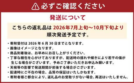 【4か月連続定期便（2026年7月～10月）】 シャインマスカット 定期便 4ヵ月 約1.3kg×4回 合計約5.2kg くだもの 果物 フルーツ