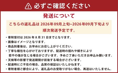 大粒種なしぶどう3色セット 3種 合計 約1.4kg (3房) ブドウ 葡萄 果物 くだもの フルーツ 【2026年9月上旬発送開始】