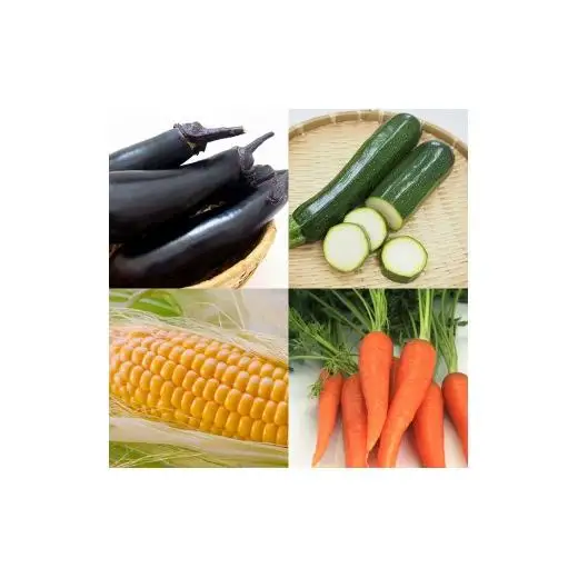 完熟マンゴー スイートコーン入り 農家直送 新鮮野菜詰め合わせセット【先行予約】＜32-3a＞