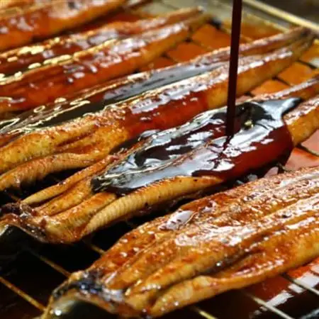 《3尾入》うなぎ蒲焼　化粧箱入り　地元老舗うなぎ加工会社より真空でお届け!【配送不可地域：離島】【1696783】