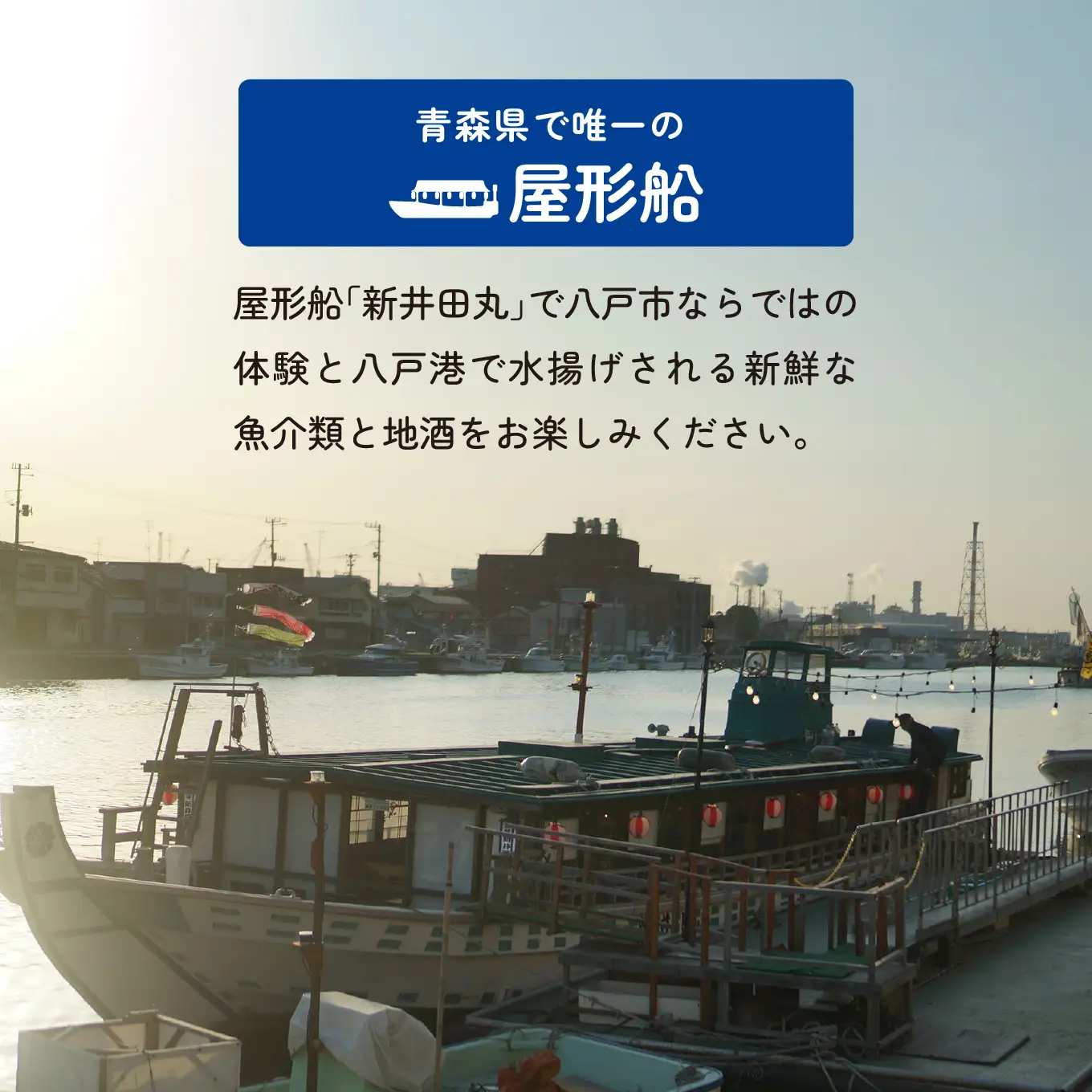 ブルーカンパニー 新井田丸 ＜青森県で唯一の屋形船＞  八戸港内ランチ・クルーズ 【お料理：梅プラン、昼】 チケット 20名分 新鮮魚介類 うみねこ餌付け体験 バードウォッチング 青森県 八戸市