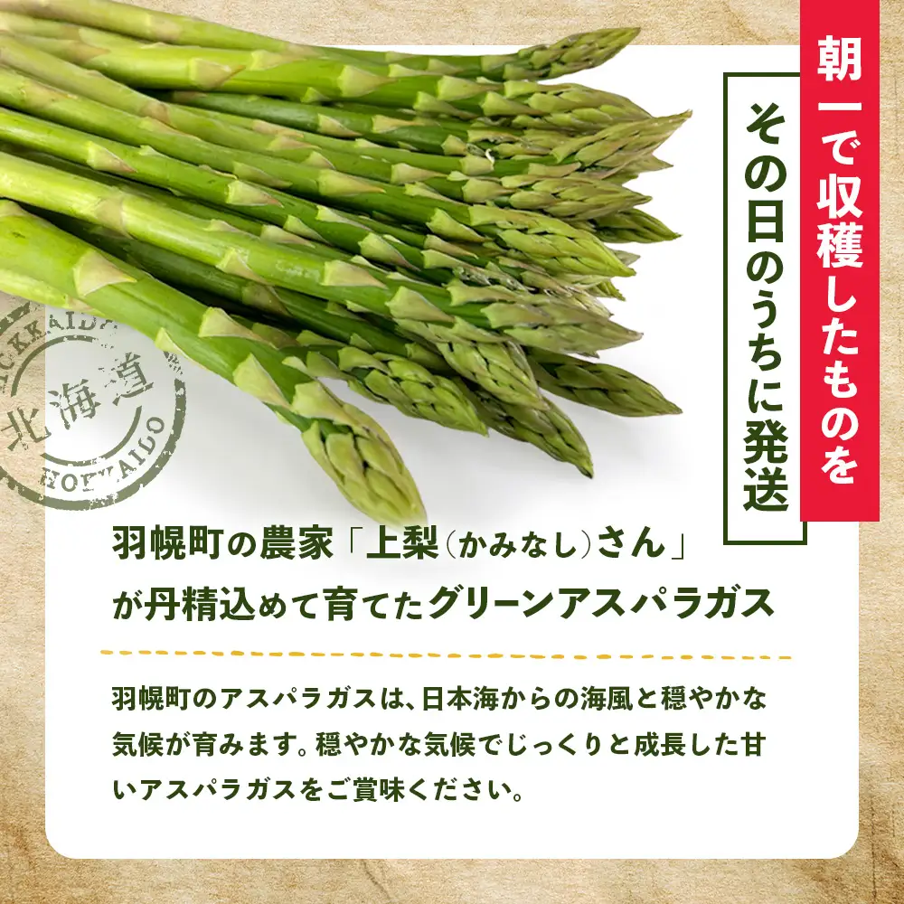 朝採り発送 かみなしさんのグリーンアスパラ 1kg（Lサイズ以上）【32002】