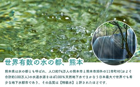 阿蘇のメイスイ 2L 1ケース(6本入り) 天然水 水 人気 ミネラルウォーター 備蓄 防災 飲料水 熊本県 阿蘇市