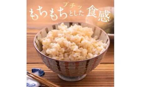 玄米 先行予約 ※6ヶ月定期便※ 葛城山麓米 ヒノヒカリ（玄米）2kg ×6ヶ月 令和8年産 【2026年11月・12月・2027年1月・2月・3月・4月発送】【smlk-tkb010】