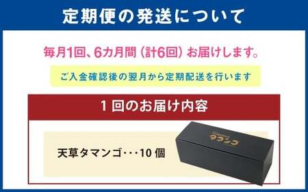 熊本県天草市で生まれたブランド卵「天草タマンゴ」10個入 ／ 化粧箱×6回 計60個 化粧箱入 【6ヶ月連続定期便】 卵 たまご タマゴ 生卵 生たまご 卵黄 卵 定期便 6回 熊本県 天草市 