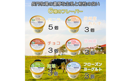 長門牧場アイスクリーム20個セットA-4　6種のフレーバー詰め合わせ（バニラ、チョコレート、抹茶、ヨーグルト、いちご、あんず）　人気スイーツ　濃厚ミルク　直送　牛乳　生乳　国産　夏ギフト　長野県　贈答品　お土産　お中元　お歳暮　クリスマス
