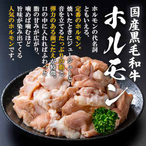 国産 黒毛和牛 ホルモン 計400g(400g×1P) &鍋用醤油タレ(濃縮タイプ：30g×3P) 牛肉 【ナンチク】A993