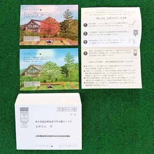 4-1 ペット供養お焚き上げ用ハガキセット（春・秋彼岸） | ペット 供養 動物供養 追悼 ハガキ 葉書 手紙 お焚き上げ 樹木葬 小型