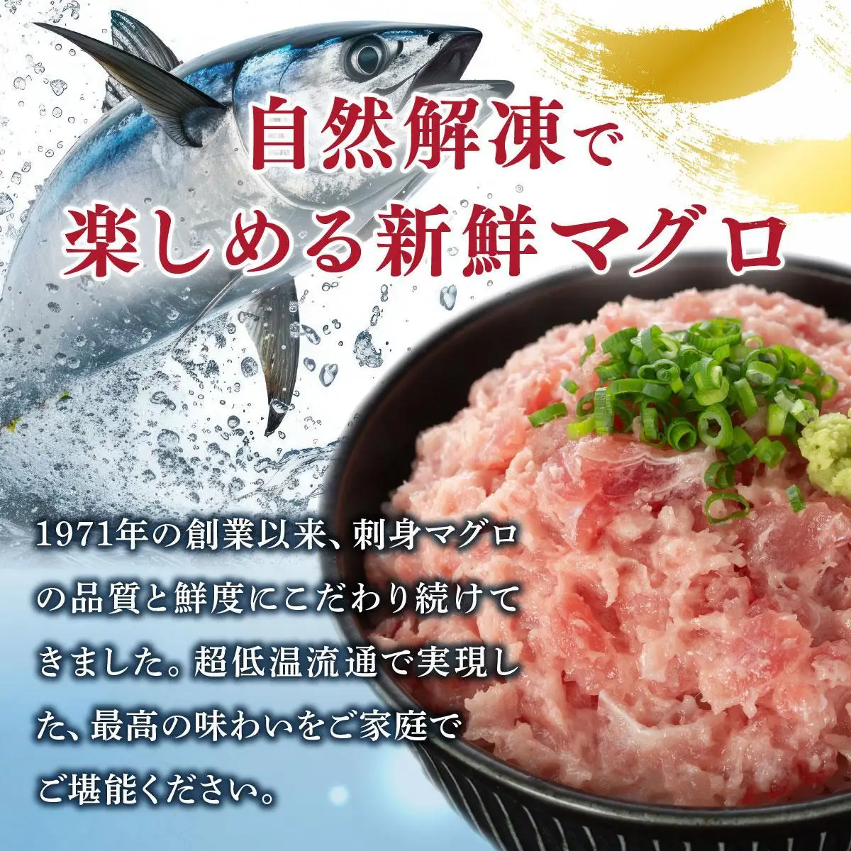 まぐろたたき 500g×2P LZ008