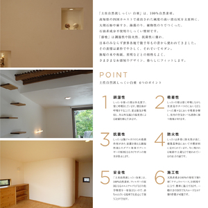 漆喰 自然派しっくい 白亜 DIY用 アイスグレー 20kg[16平方メートル] | 簡単 練り済み しっくい 珪藻土 自然素材 リノベ リフォーム 南国市