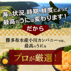 ≪プロ厳選≫最高級折うに(極)宮下あきら先生パッケージVer計250g うに ウニ 雲丹 折うに 海鮮 海産物 北海道 浜中町 ふるさと納税 人気_H0014-105