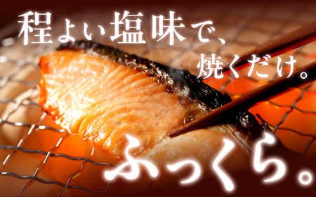 【訳あり】アトランティックサーモン 塩切身 小分け包装【1kg】_T010-1691