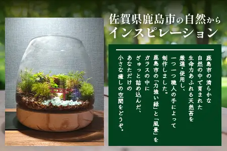 J-33　苔テラリウム　手入れ簡単 癒やしのインテリア 卓上サイズ 誕生日 プレゼント雑貨 天然苔 贈り物 観葉植物 初心者 ミニチュア 鹿島市産 / mossty 