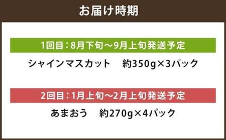 【年2回定期便】 数量限定 旬のフルーツ 定期便 【 シャインマスカット ・ あまおう 】 合計 約2.48kg 福岡県産 果物 いちご ぶどう セット 詰合せ