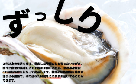 【期間限定価格】【海士のいわがき 殻なしLLサイズ4個】岩牡蠣 生食可 冷凍 牡蛎 牡蠣 かき カキ 岩牡蠣 いわがき 冷凍 殻なし ハーフシェル 手軽 お歳暮 年末年始 数量限定
