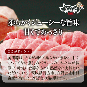 【餃子】スープ 餃子 1袋 博多豚骨｜惣菜 冷凍食品 茨城県 行方市(HJ-9)