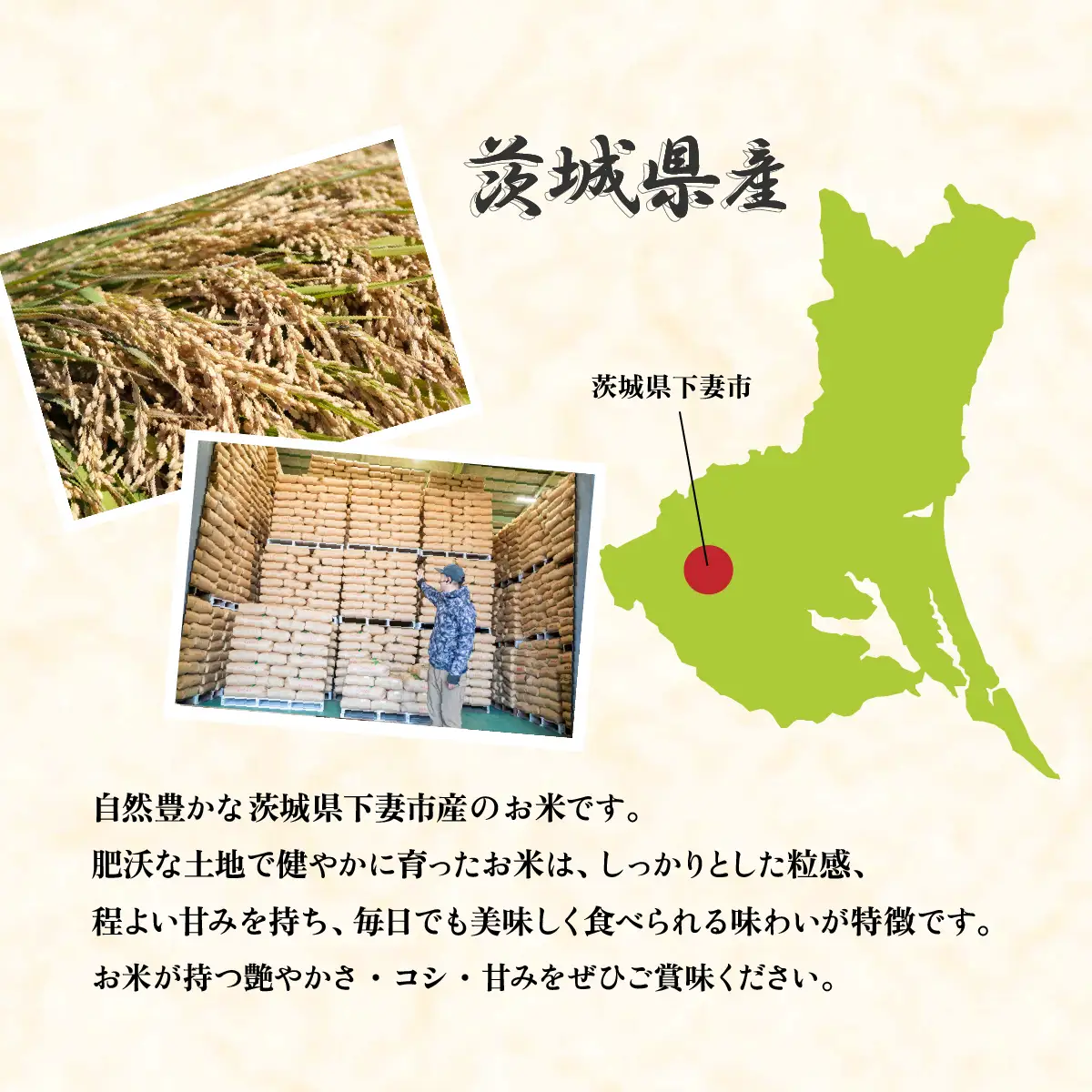 米 白米 コシヒカリ 10kg 精米 令和7年産 茨城県産
