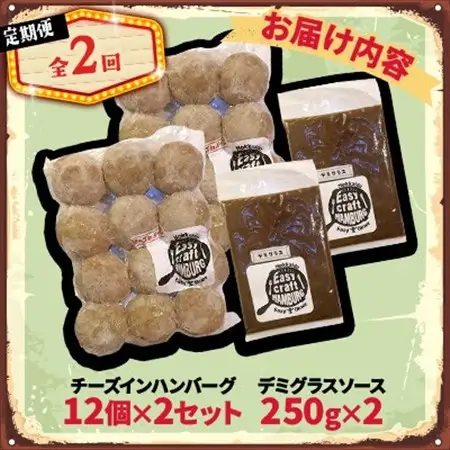 【毎月定期便】チーズ in ハンバーグ(生)12個入(デミグラスソース250g) 2セット全2回【配送不可地域：離島】【4080195】