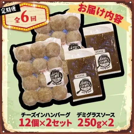 【毎月定期便】チーズ in ハンバーグ(生)12個入(デミグラスソース250g) 2セット全6回【配送不可地域：離島】【4080196】