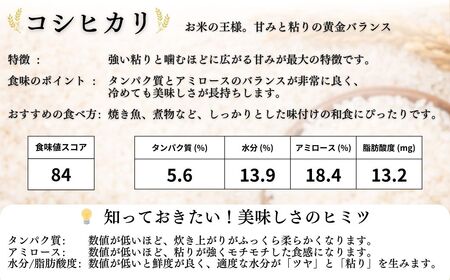【定期便】 JAS有機米 コシヒカリ 白米 5kg ×10月)  ｜ 令和7年産 渡部有機農園