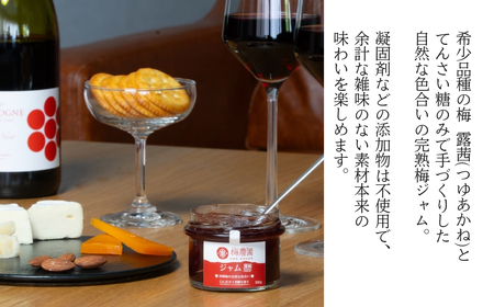 梅農園ジャム 100g×3個 ｜ 梅ジャム 無添加 相馬アグリ