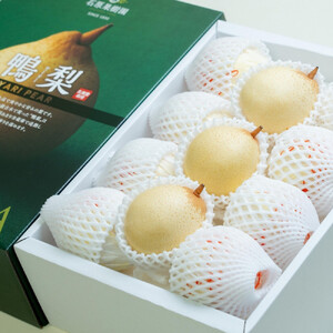 梨 2026年  鴨梨（ヤーリー）小玉11～13玉 約4kg 化粧贈答箱 赤秀【ナシ なし 岡山県産 国産 フルーツ 果物 ギフト 石原果樹園】