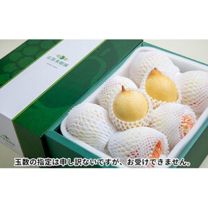 梨 2026年  鴨梨（ヤーリー）6～12玉 約4.5kg 贈答箱【ナシ なし 岡山県産 国産 フルーツ 果物 ギフト 石原果樹園】