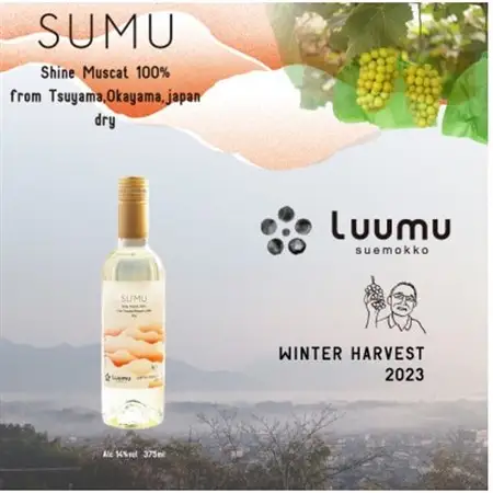 SUMU シャインマスカット・ウィンターハーベスト 2023(375ml)【1699835】