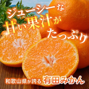 【訳あり・ご家庭用】有田みかん 約2kg みかん【2027年1月中に順次発送予定】北海道・沖縄県・離島配送不可  【CE-nuk159C-01】