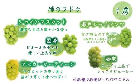 【2026年の先行予約】 花笑み農園 ぶどう 『彩り３種セット』家庭用（1.8kg） 岡山 詰め合わせ 食べ比べ 真庭市 【hana085-01】