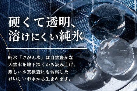 定期便【12回定期】さがん氷 丸氷 3個×5袋×12回（合計180個）N-29 藤津製氷 こおり 氷 ロック アイス 佐賀 鹿島 九州