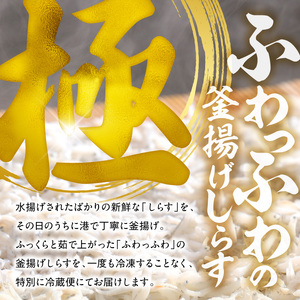 【とれたて直送】極しらす干し 1kg N065-YA4442