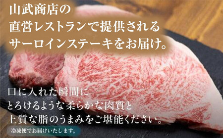 飛騨高山の誇り 飛騨牛 サーロインステーキ用 300ｇ×2枚飛騨牛 ステーキ PS004 　