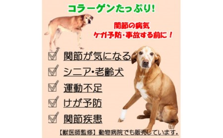 純ナマコ粉末【90g】※ペットサプリメント_I020-0437