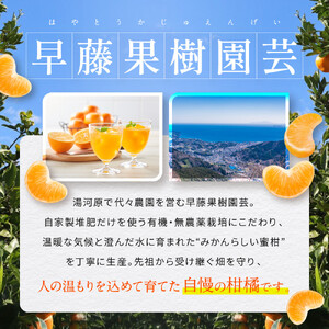 有機みかんジュース 果汁100%　1000ml×2本 | 湯河原町 有機農園 完全無農薬 青島みかん 朝食 ドリンク