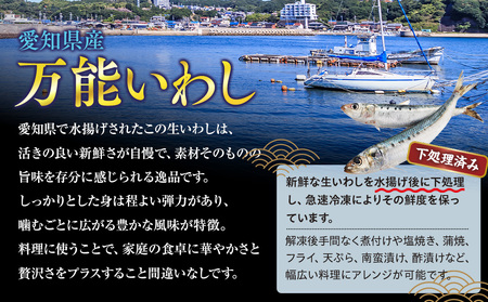 万能いわし 8匹 (約160g~180g) × 5袋 下処理済み